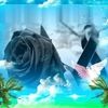 maylar